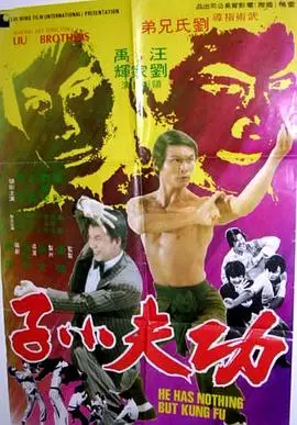 功夫小子 海报